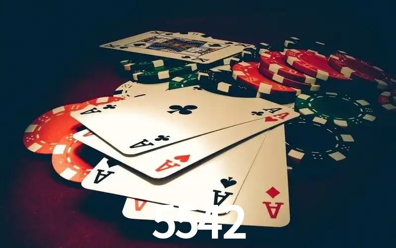 5542 visual 2